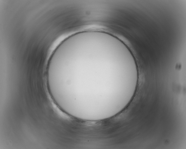 X0000111931478200908241103