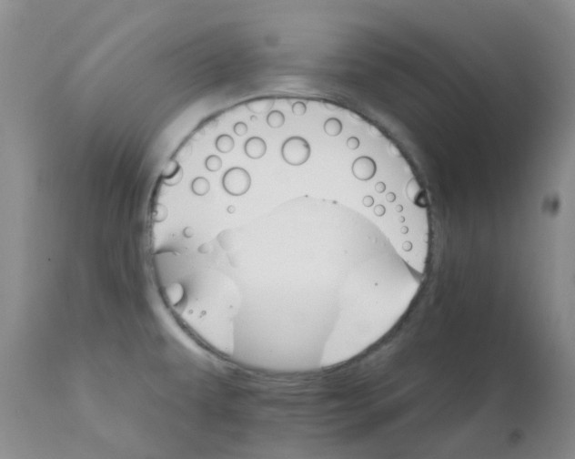 X0000111931479200908241103