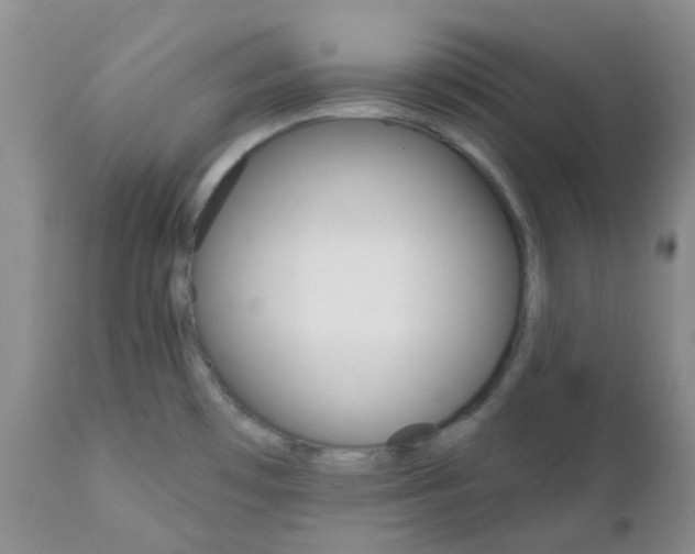 X0000111931481200908241103