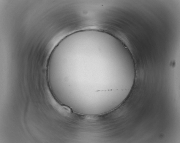 X0000111931483200908241103