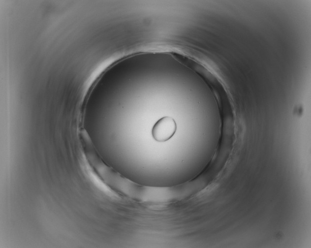 X0000111931484200908241103