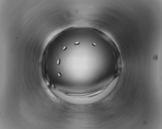 X0000111931485200908241103