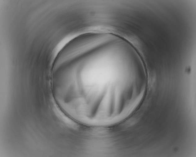 X0000111931486200908241103