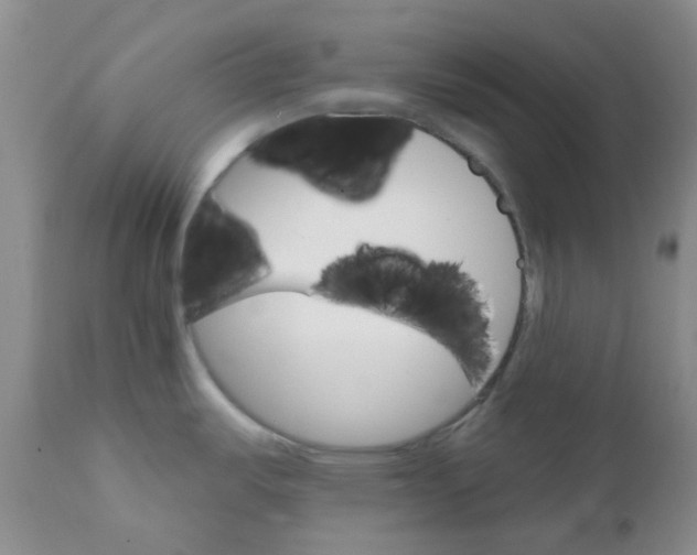 X0000111931487200908241103