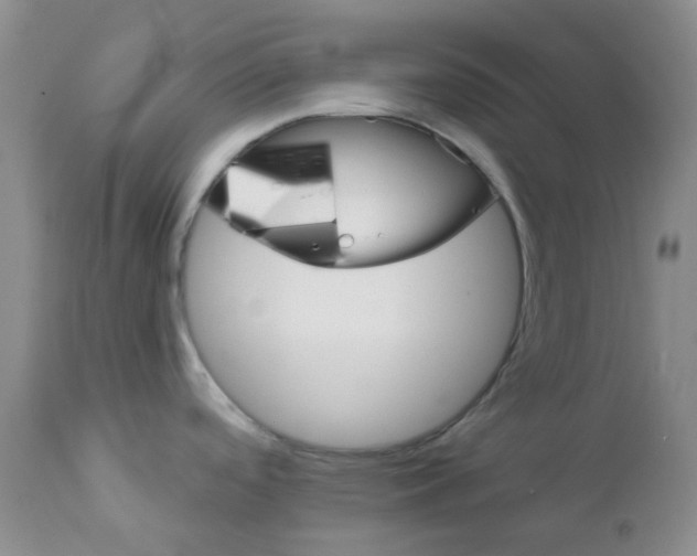 X0000111931488200908241103