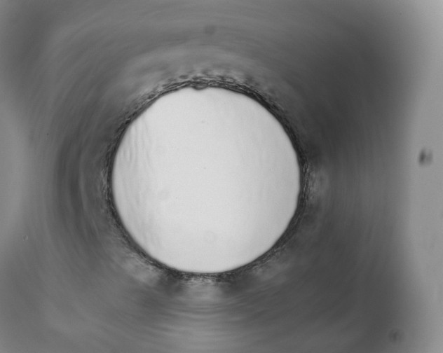 X0000111931489200908241102