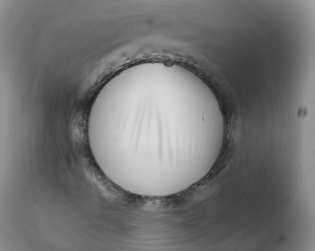 X0000111931490200908241102