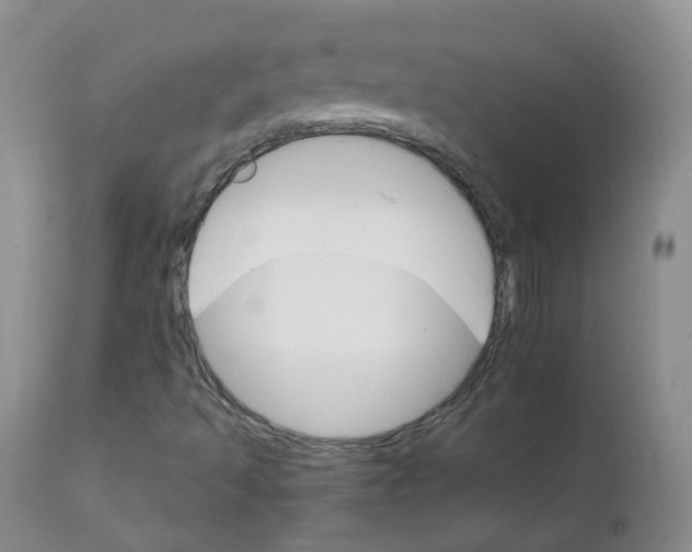 X0000111931493200908241103