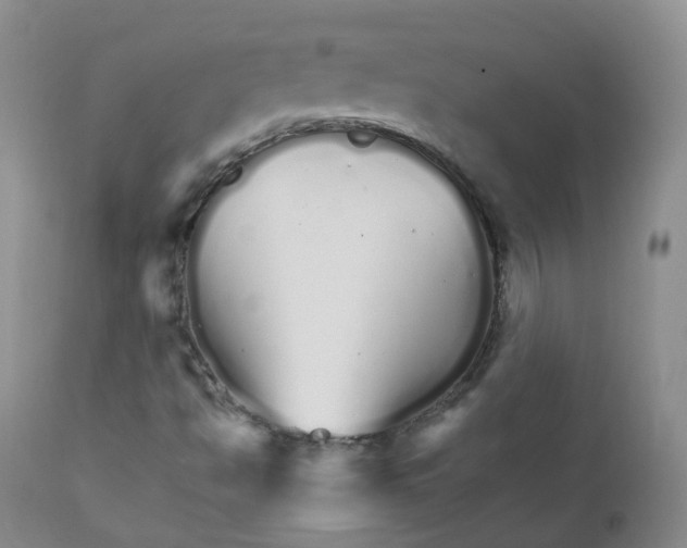 X0000111931494200908241103