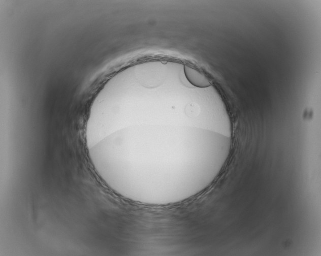 X0000111931495200908241103