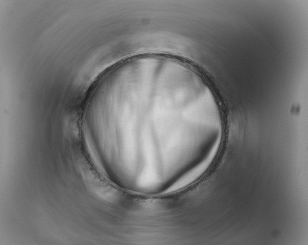 X0000111931497200908241103