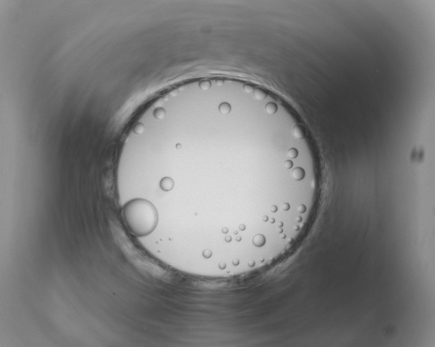 X0000111931499200908241103