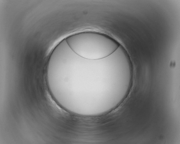 X0000111931500200908241103