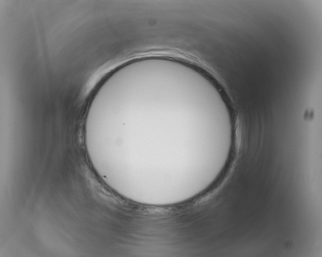 X0000111931501200908241103