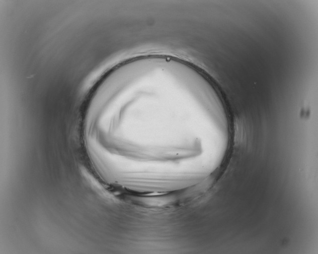 X0000111931502200908241103