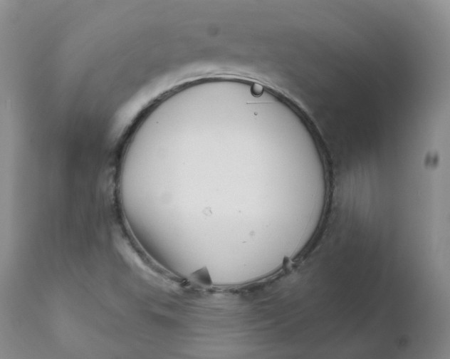 X0000111931503200908241103