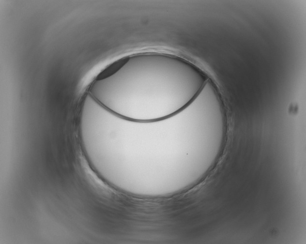 X0000111931504200908241103