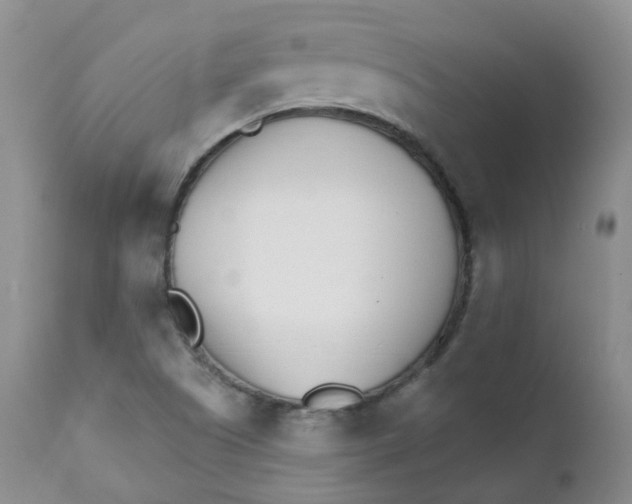 X0000111931505200908241103