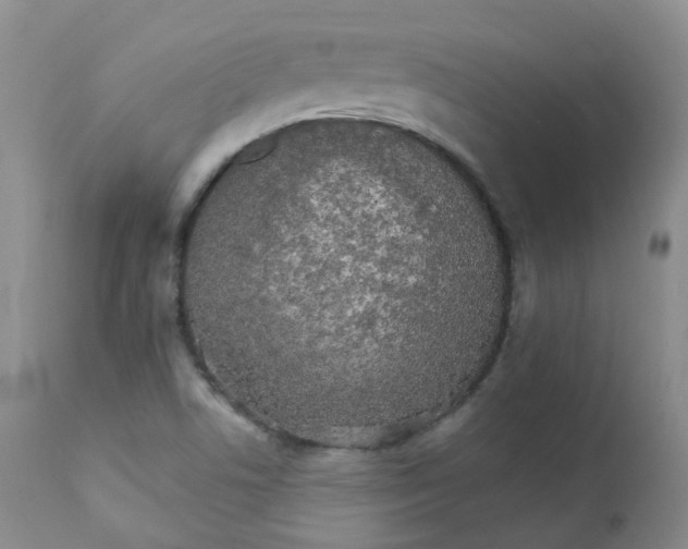 X0000111931506200908241103