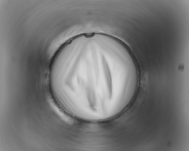 X0000111931507200908241103