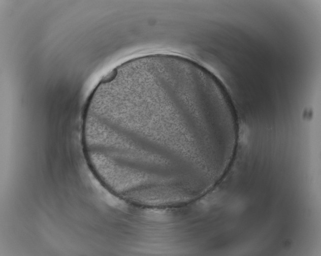 X0000111931508200908241103