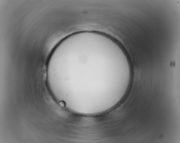 X0000111931509200908241103