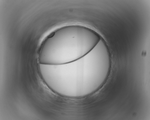 X0000111931510200908241103