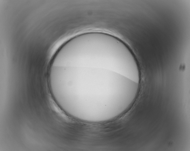 X0000111931511200908241103