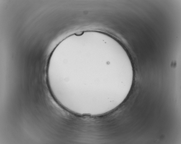 X0000111931512200908241103