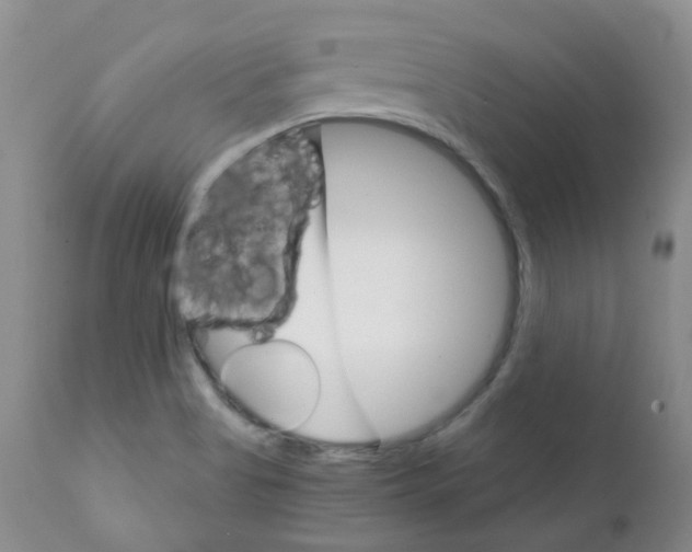 X0000111931513200908241103