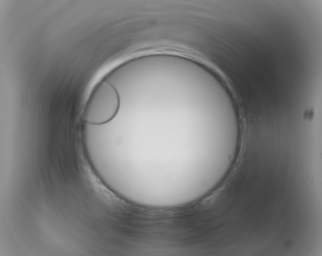 X0000111931514200908241103