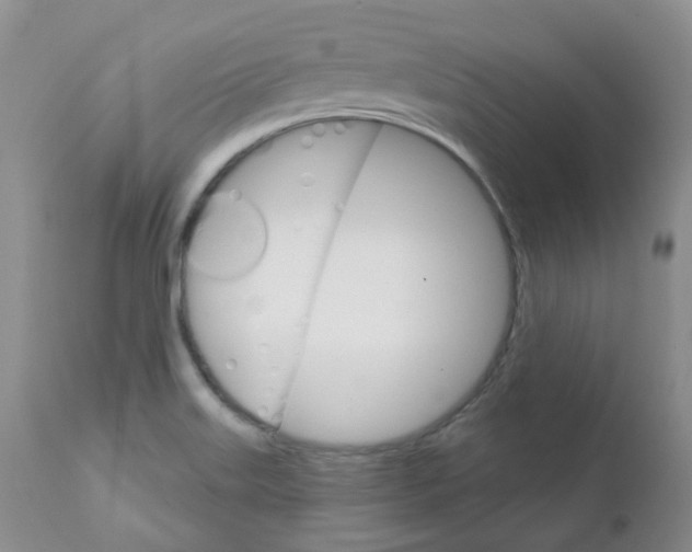 X0000111931515200908241103