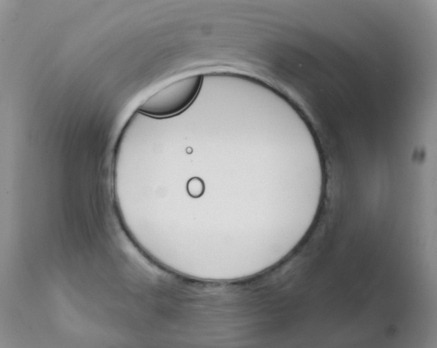 X0000111931516200908241103