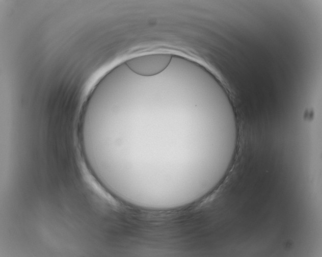 X0000111931518200908241103