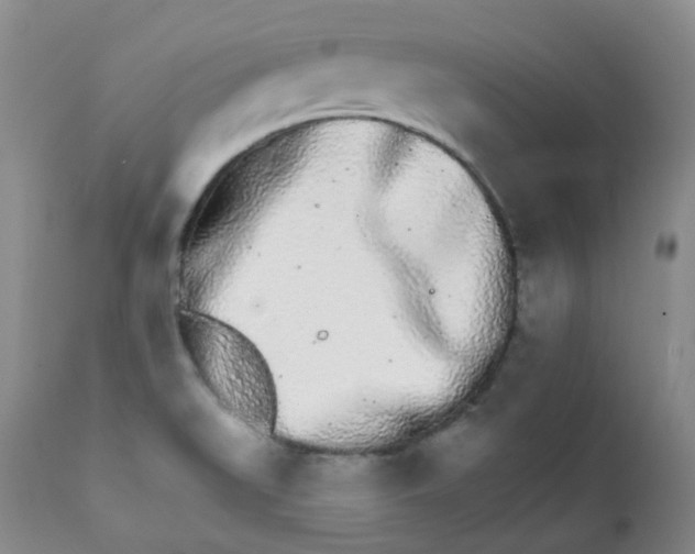 X0000111931519200908241103