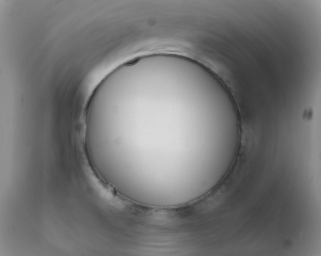 X0000111931520200908241103