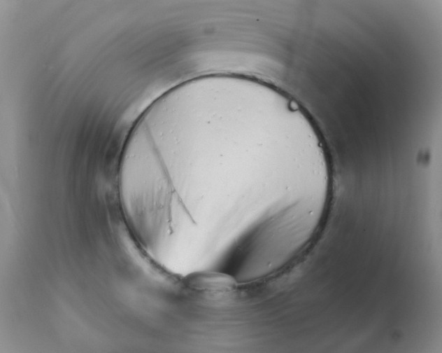 X0000111931521200908241103