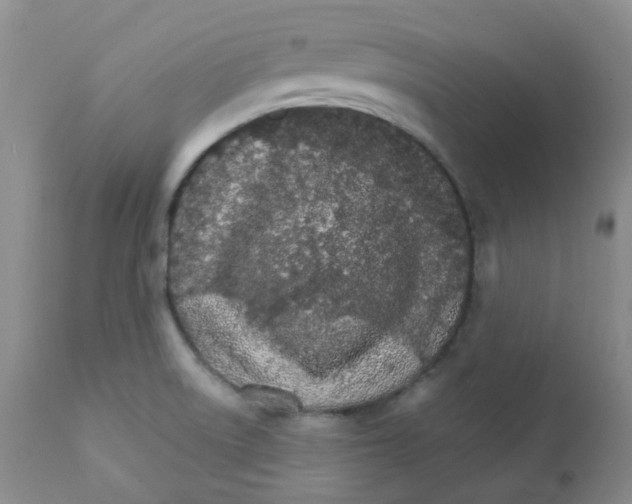 X0000111931522200908241103