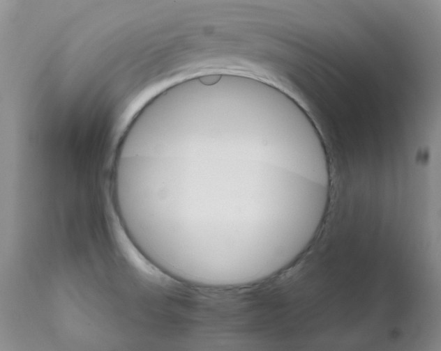 X0000111931523200908241103