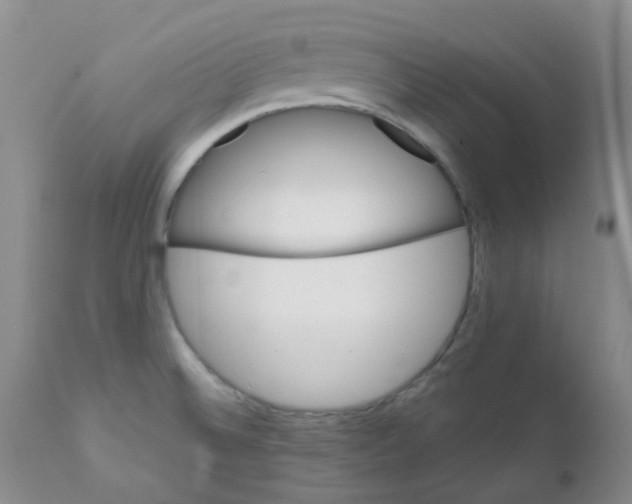 X0000111931524200908241103