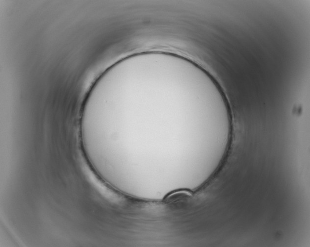 X0000111931525200908241103