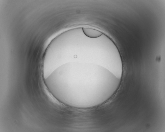 X0000111931526200908241103