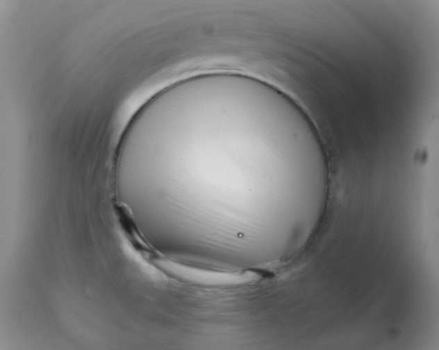 X0000111931527200908241103