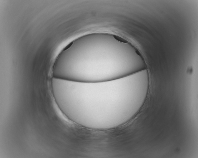 X0000111931528200908241103