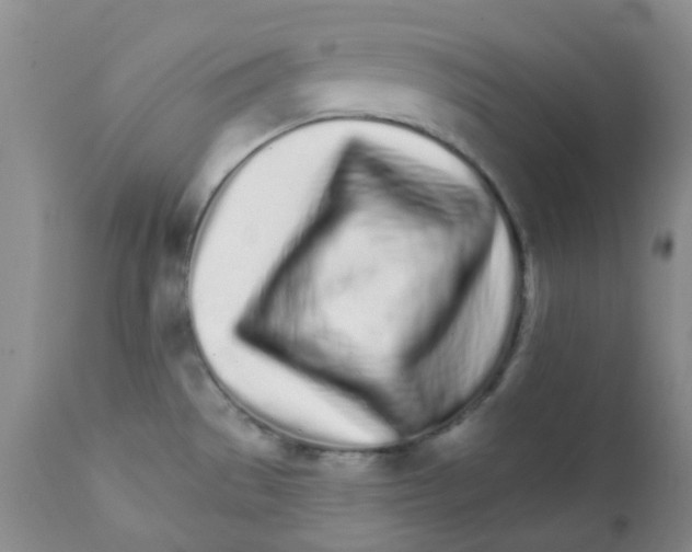 X0000111931529200908241103