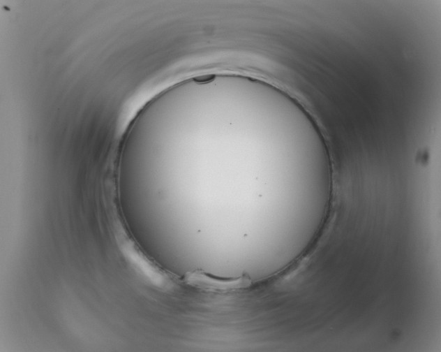 X0000111931530200908241103