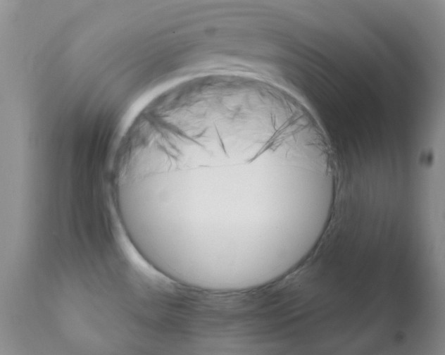 X0000111931531200908241103