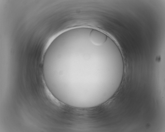 X0000111931532200908241103