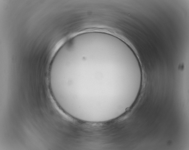 X0000111931533200908241103