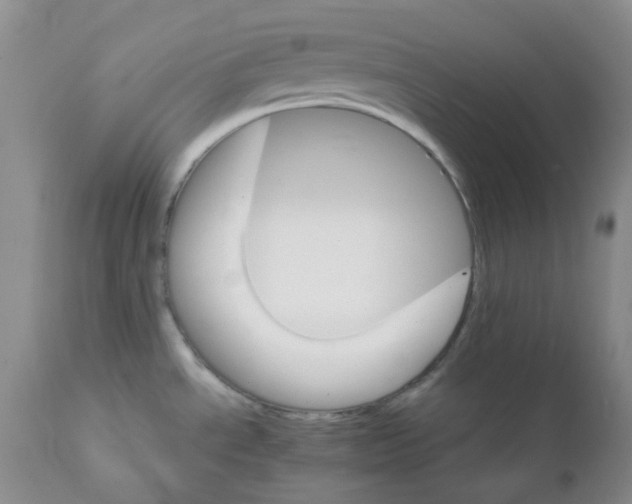 X0000111931534200908241103